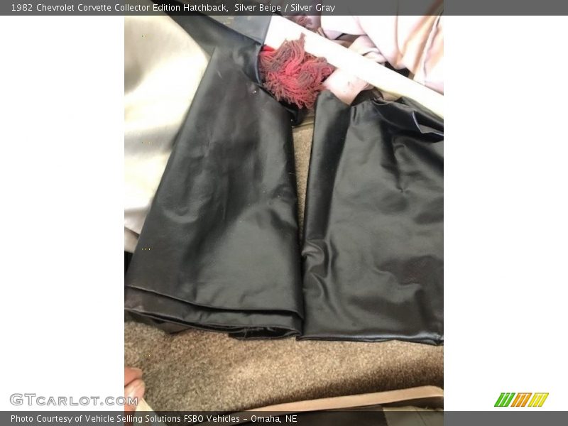 Silver Beige / Silver Gray 1982 Chevrolet Corvette Collector Edition Hatchback