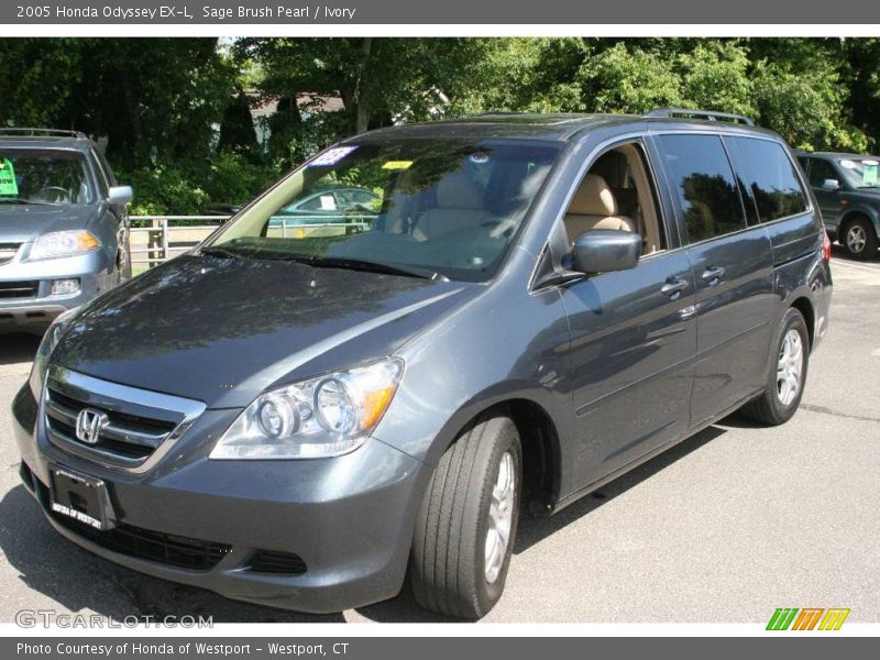Sage Brush Pearl / Ivory 2005 Honda Odyssey EX-L