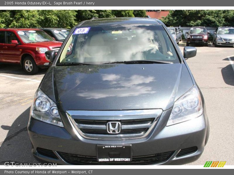 Sage Brush Pearl / Ivory 2005 Honda Odyssey EX-L