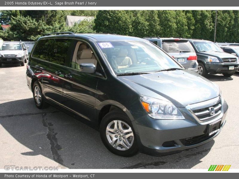 Sage Brush Pearl / Ivory 2005 Honda Odyssey EX-L