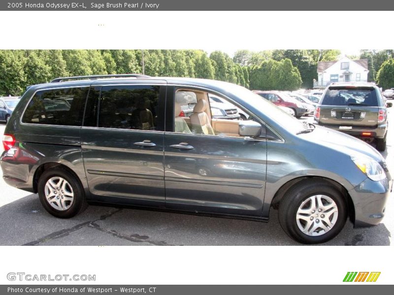 Sage Brush Pearl / Ivory 2005 Honda Odyssey EX-L