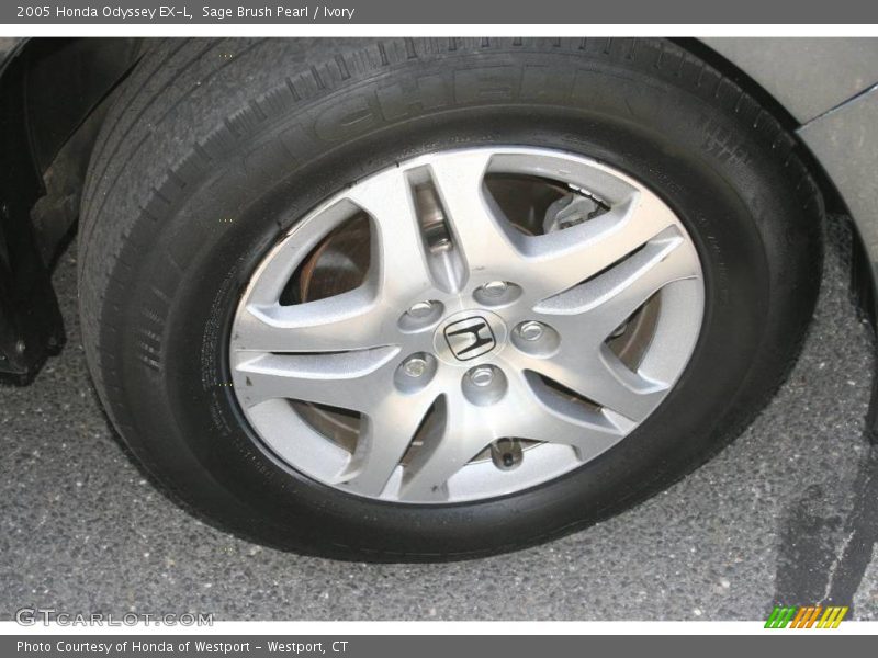 Sage Brush Pearl / Ivory 2005 Honda Odyssey EX-L