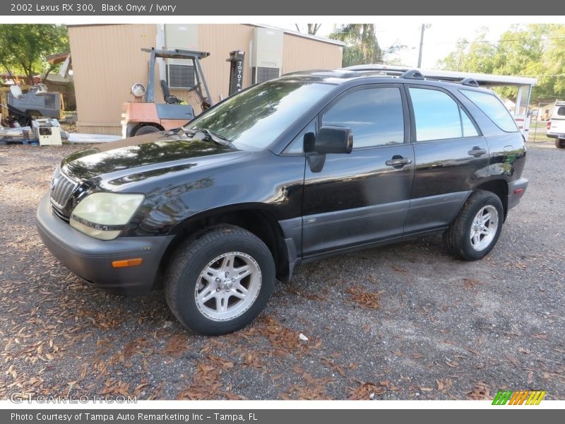 Black Onyx / Ivory 2002 Lexus RX 300