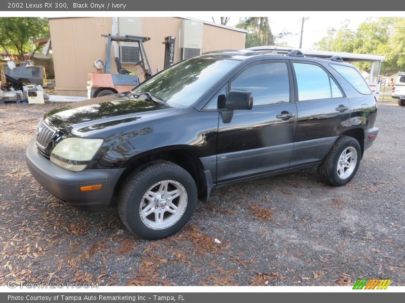 Black Onyx / Ivory 2002 Lexus RX 300