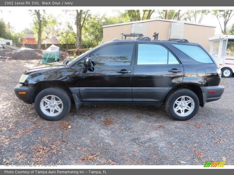 Black Onyx / Ivory 2002 Lexus RX 300