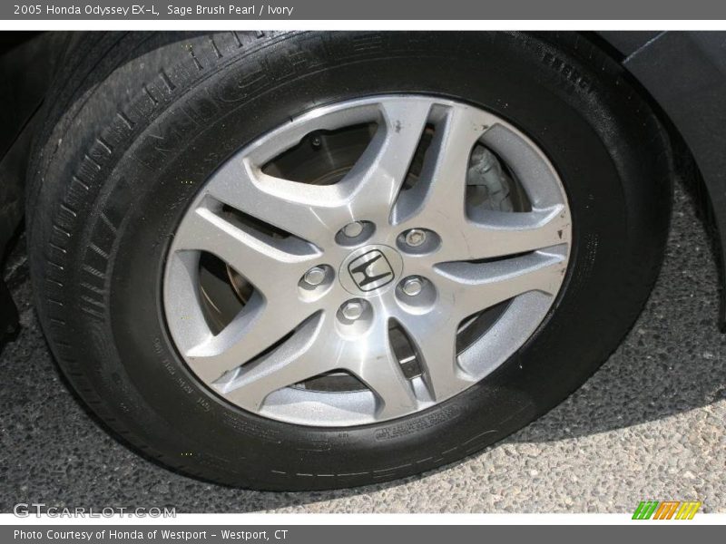 Sage Brush Pearl / Ivory 2005 Honda Odyssey EX-L