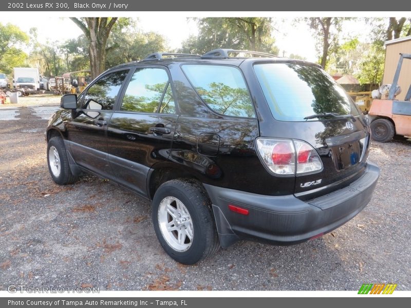 Black Onyx / Ivory 2002 Lexus RX 300