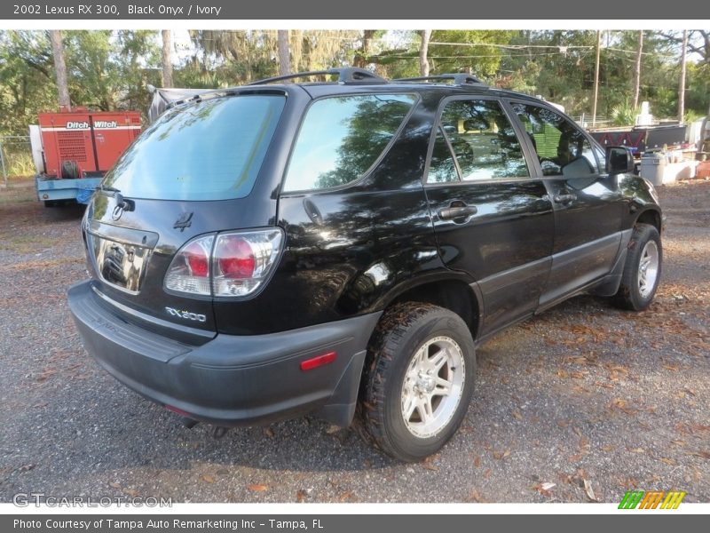 Black Onyx / Ivory 2002 Lexus RX 300