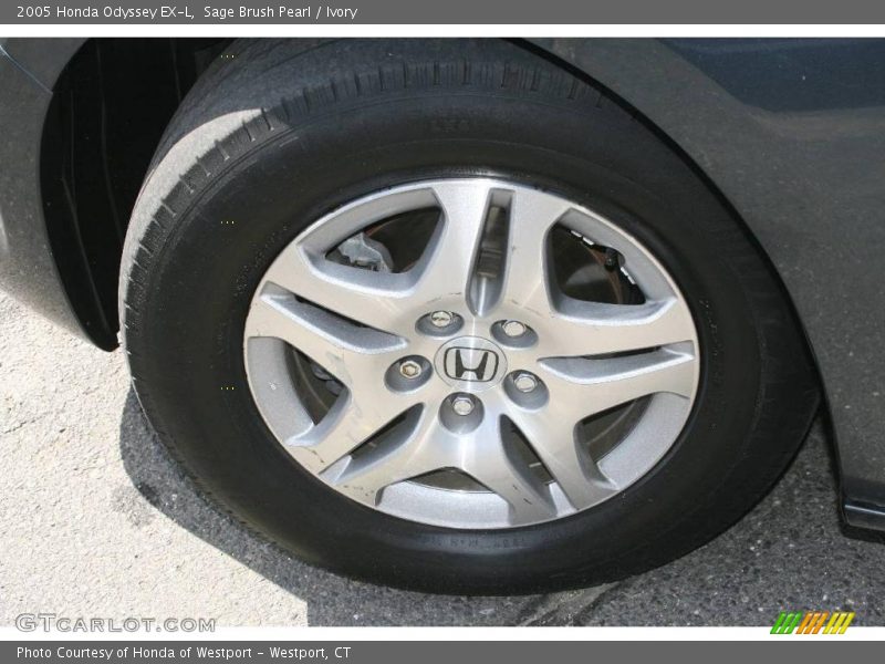 Sage Brush Pearl / Ivory 2005 Honda Odyssey EX-L