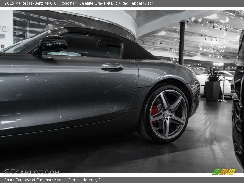 Selenite Grey Metallic / Red Pepper/Black 2019 Mercedes-Benz AMG GT Roadster