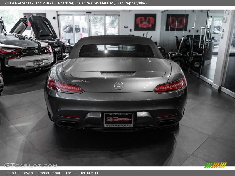 Selenite Grey Metallic / Red Pepper/Black 2019 Mercedes-Benz AMG GT Roadster