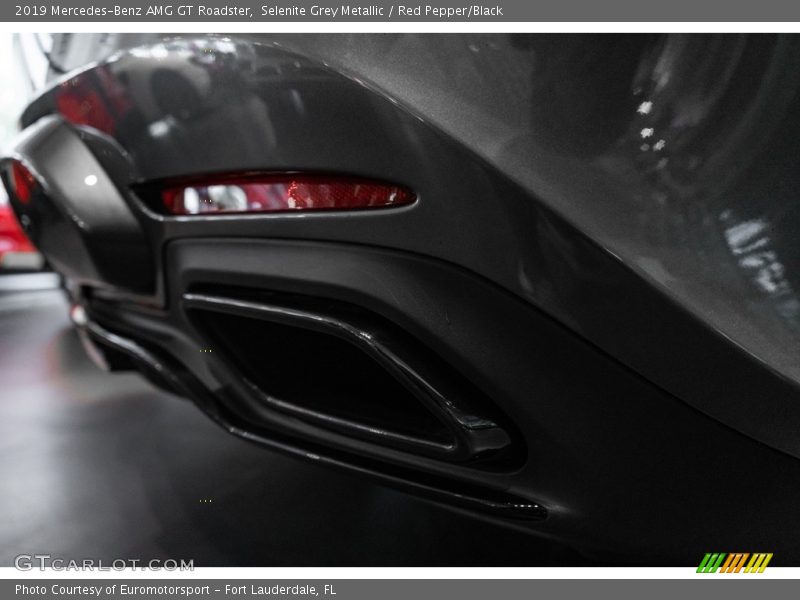 Selenite Grey Metallic / Red Pepper/Black 2019 Mercedes-Benz AMG GT Roadster