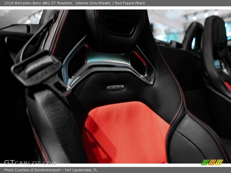 Selenite Grey Metallic / Red Pepper/Black 2019 Mercedes-Benz AMG GT Roadster