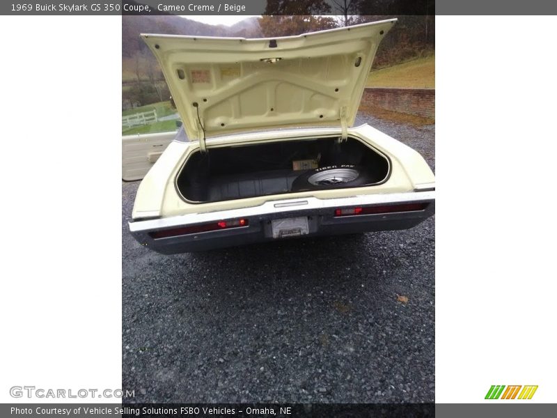 Cameo Creme / Beige 1969 Buick Skylark GS 350 Coupe