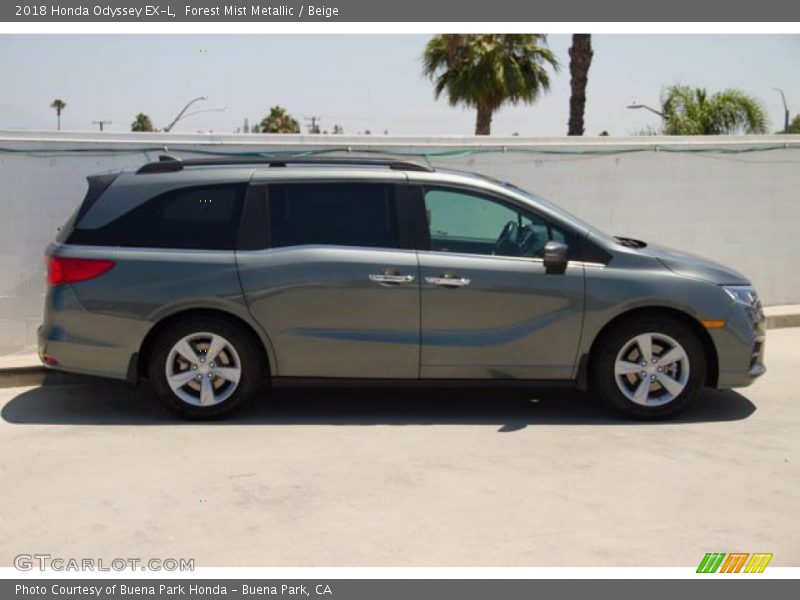 Forest Mist Metallic / Beige 2018 Honda Odyssey EX-L