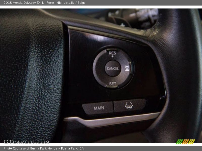 Forest Mist Metallic / Beige 2018 Honda Odyssey EX-L