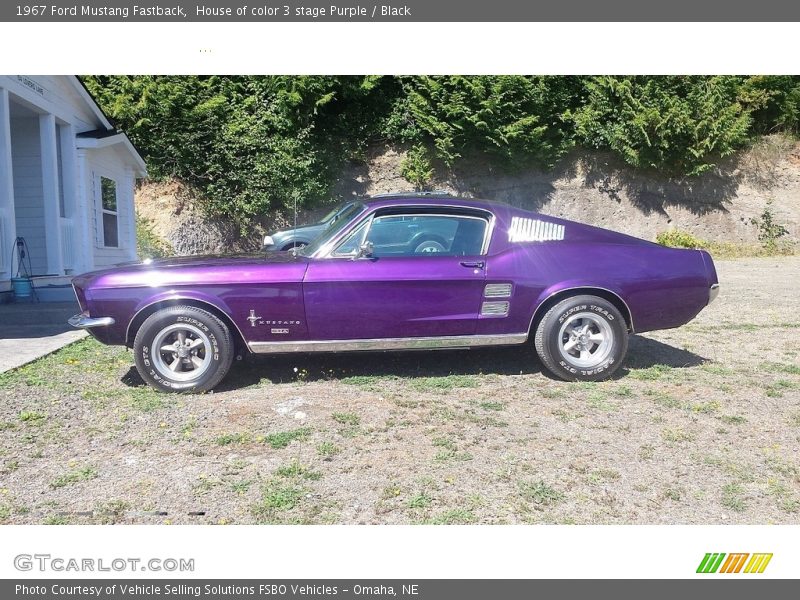 House of color 3 stage Purple / Black 1967 Ford Mustang Fastback