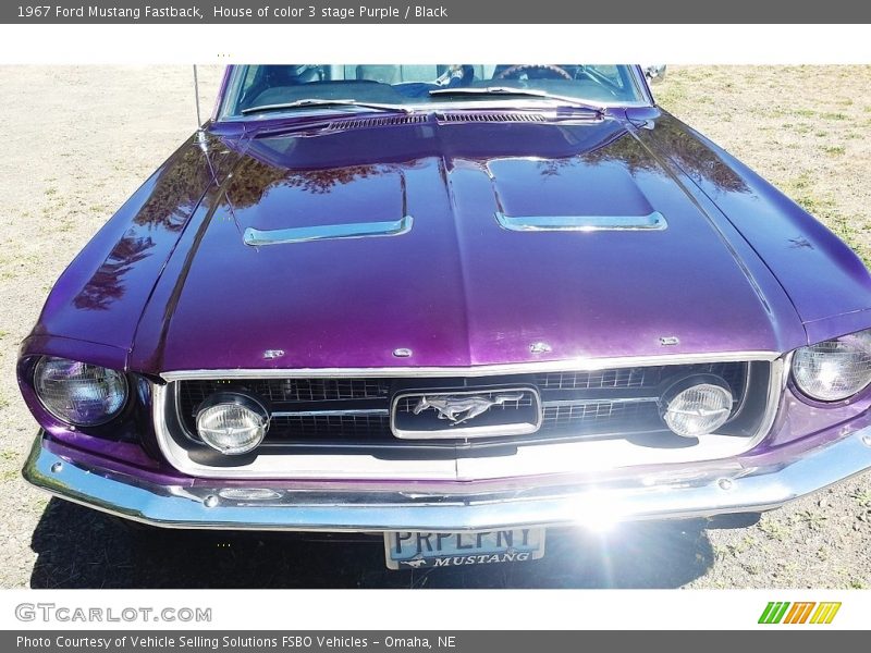 House of color 3 stage Purple / Black 1967 Ford Mustang Fastback
