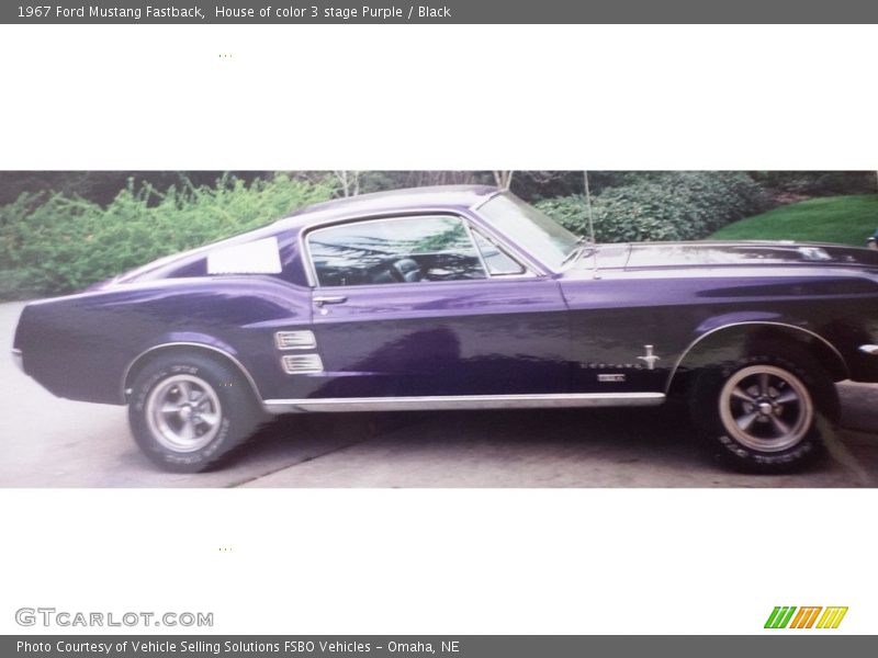 House of color 3 stage Purple / Black 1967 Ford Mustang Fastback