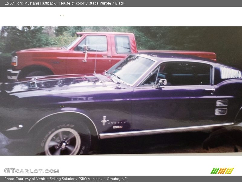 House of color 3 stage Purple / Black 1967 Ford Mustang Fastback