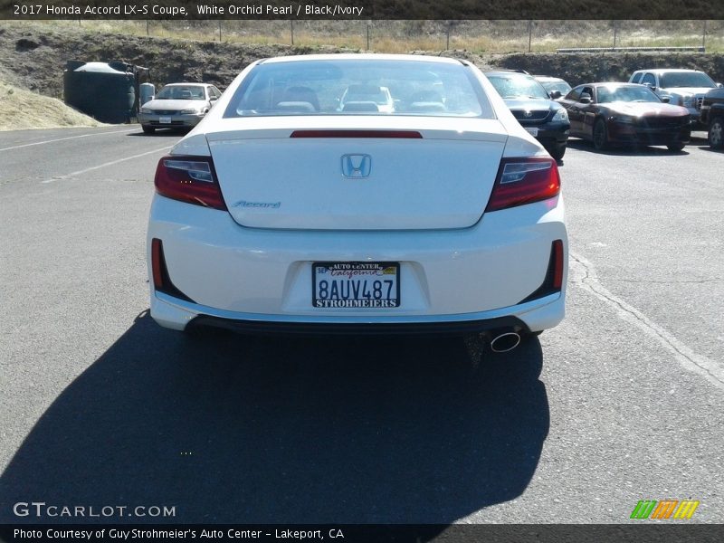 White Orchid Pearl / Black/Ivory 2017 Honda Accord LX-S Coupe