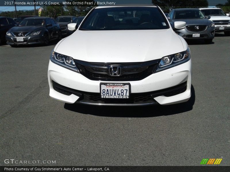 White Orchid Pearl / Black/Ivory 2017 Honda Accord LX-S Coupe