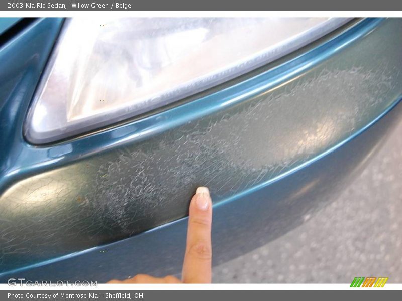 Willow Green / Beige 2003 Kia Rio Sedan