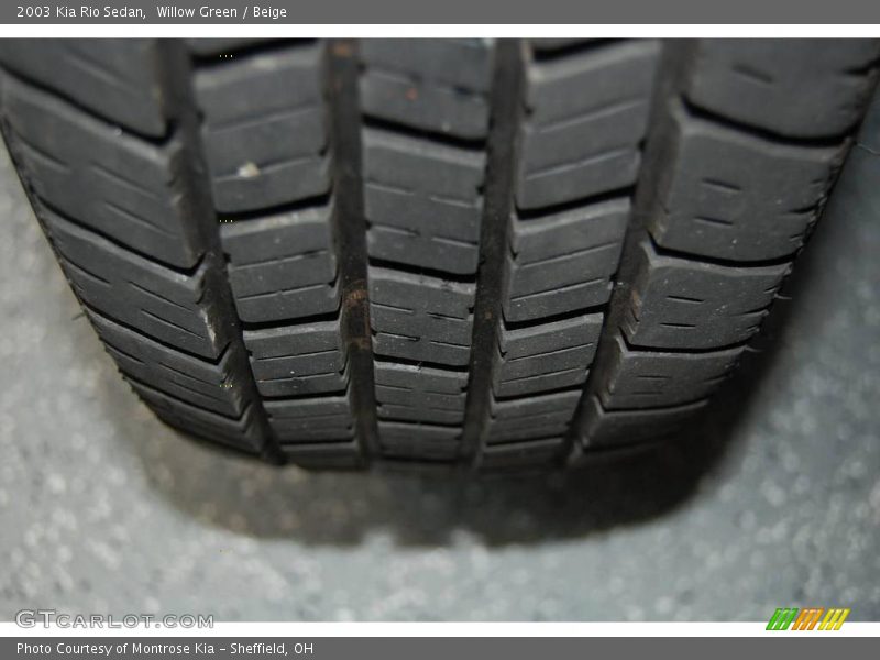 Willow Green / Beige 2003 Kia Rio Sedan