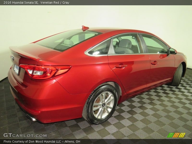 Venetian Red / Gray 2016 Hyundai Sonata SE