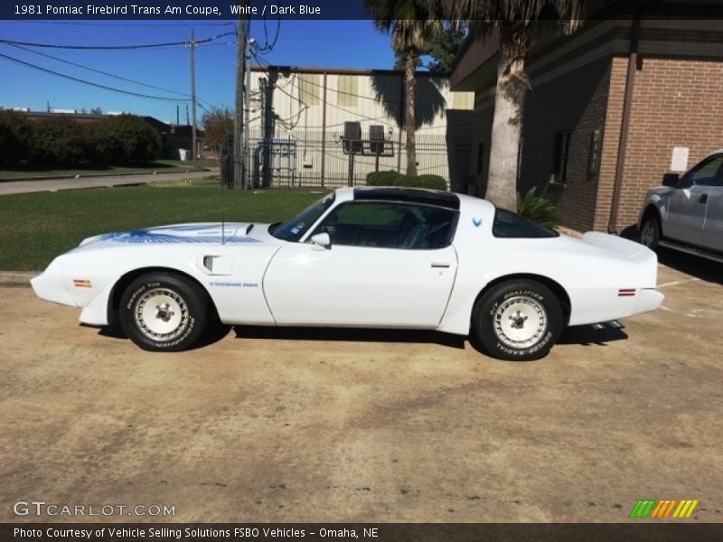  1981 Firebird Trans Am Coupe White