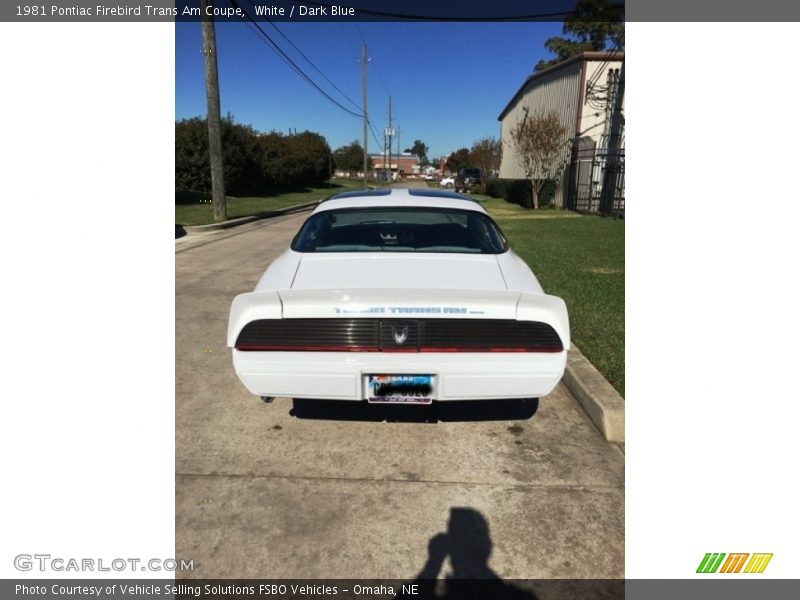 White / Dark Blue 1981 Pontiac Firebird Trans Am Coupe