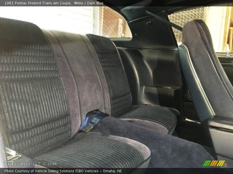 Rear Seat of 1981 Firebird Trans Am Coupe