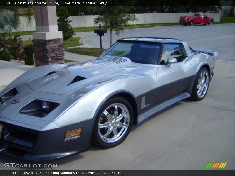 Silver Metallic / Silver Grey 1981 Chevrolet Corvette Coupe