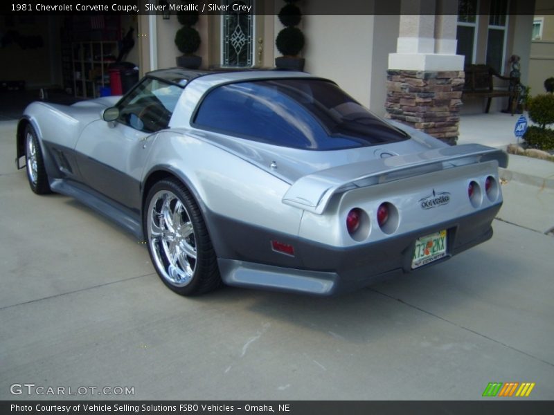 Silver Metallic / Silver Grey 1981 Chevrolet Corvette Coupe