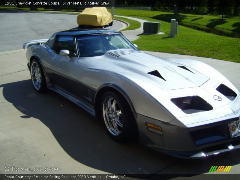 Silver Metallic / Silver Grey 1981 Chevrolet Corvette Coupe
