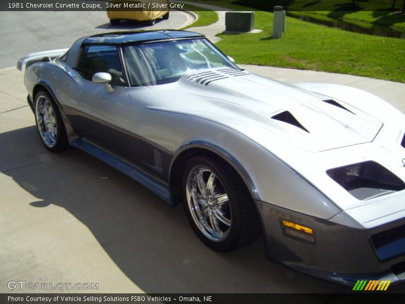 Silver Metallic / Silver Grey 1981 Chevrolet Corvette Coupe