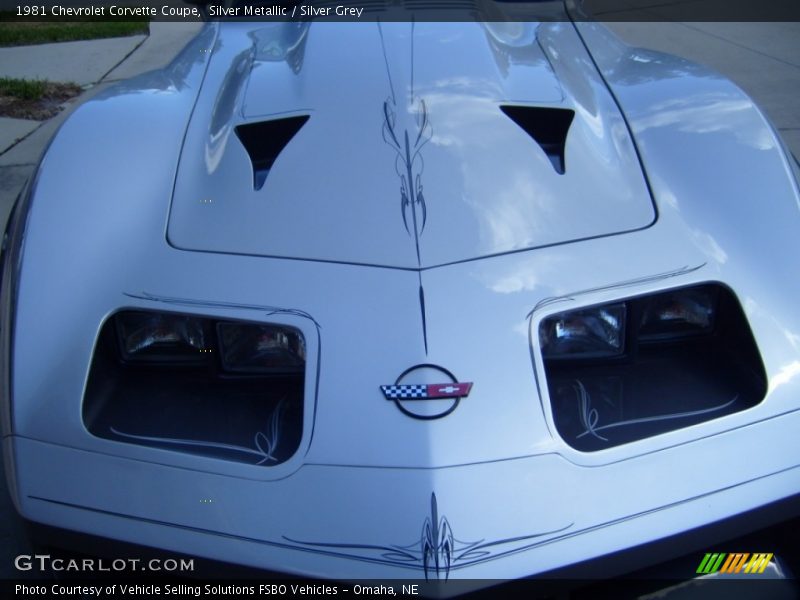Silver Metallic / Silver Grey 1981 Chevrolet Corvette Coupe