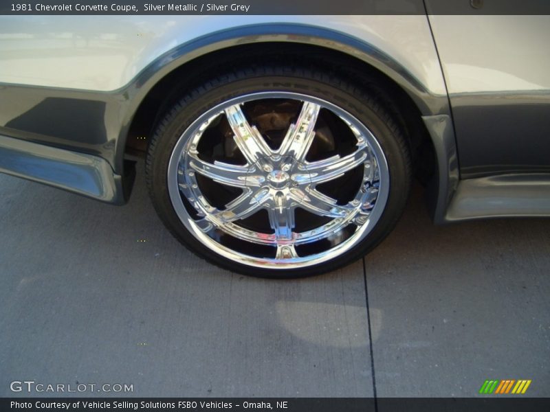 Silver Metallic / Silver Grey 1981 Chevrolet Corvette Coupe