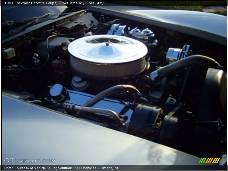Silver Metallic / Silver Grey 1981 Chevrolet Corvette Coupe