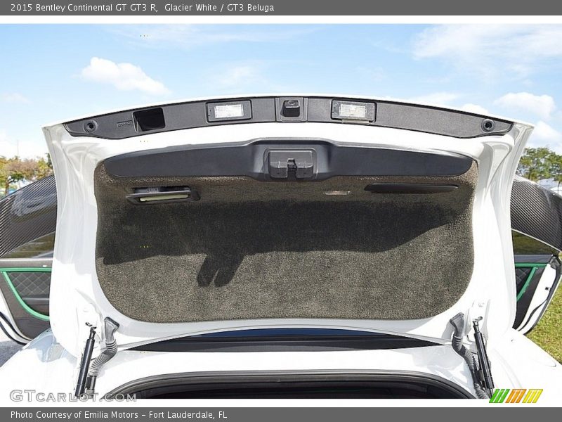  2015 Continental GT GT3 R Trunk