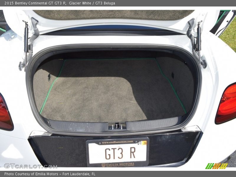  2015 Continental GT GT3 R Trunk