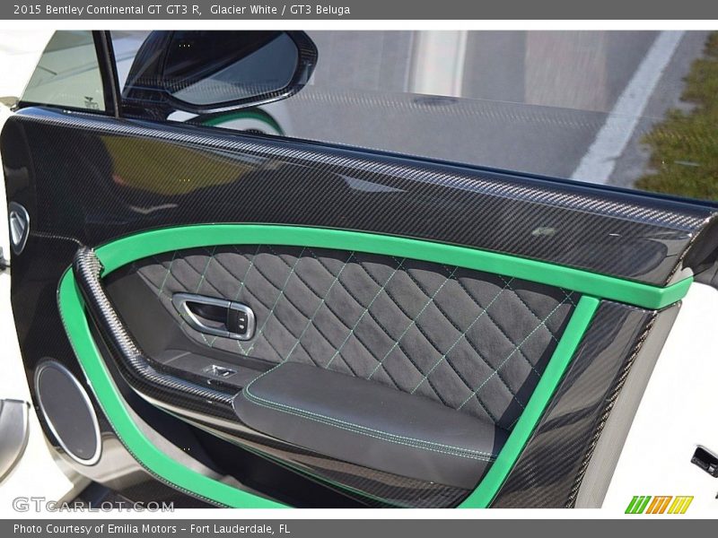 Door Panel of 2015 Continental GT GT3 R