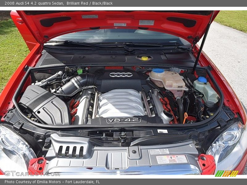  2008 S4 4.2 quattro Sedan Engine - 4.2 Liter DOHC 40-Valve VVT V8