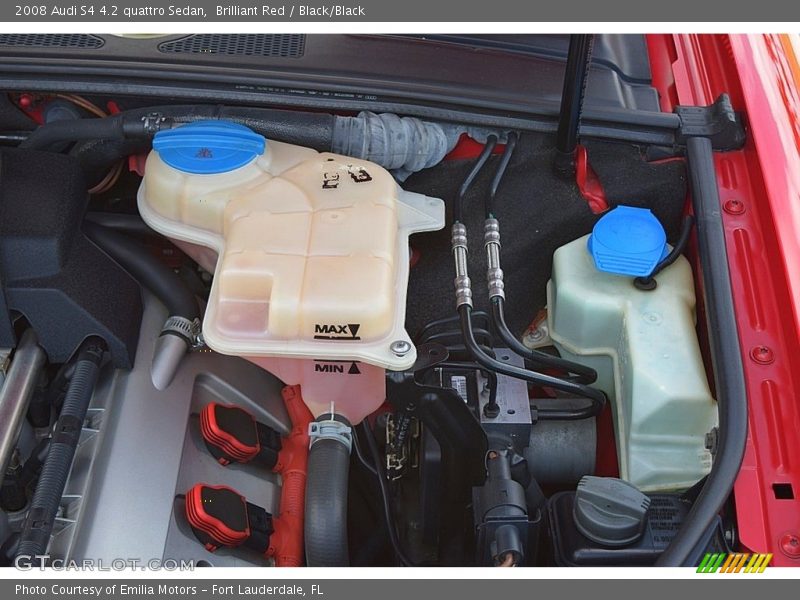  2008 S4 4.2 quattro Sedan Engine - 4.2 Liter DOHC 40-Valve VVT V8