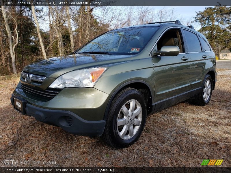 Green Tea Metallic / Ivory 2009 Honda CR-V EX-L 4WD