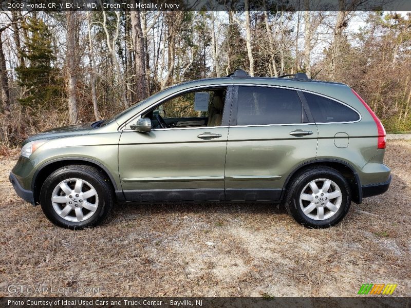 Green Tea Metallic / Ivory 2009 Honda CR-V EX-L 4WD