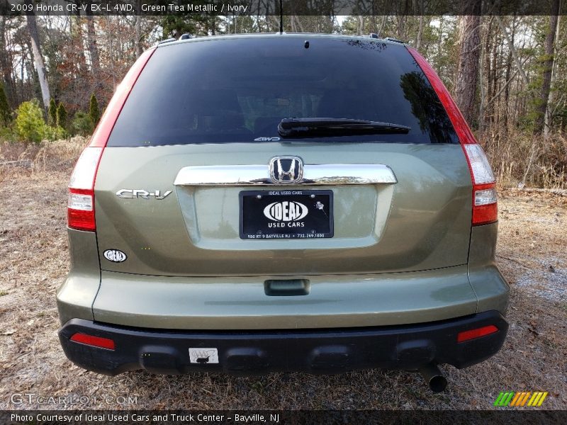 Green Tea Metallic / Ivory 2009 Honda CR-V EX-L 4WD