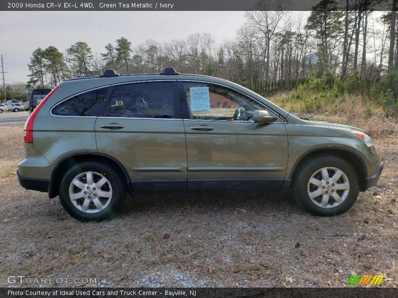 Green Tea Metallic / Ivory 2009 Honda CR-V EX-L 4WD