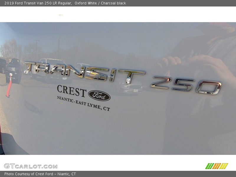 Oxford White / Charcoal black 2019 Ford Transit Van 250 LR Regular