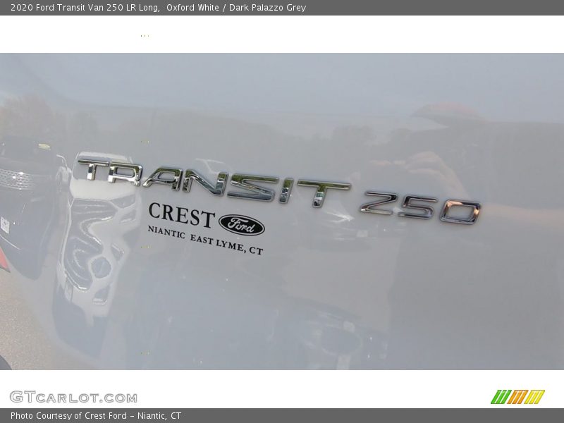 Oxford White / Dark Palazzo Grey 2020 Ford Transit Van 250 LR Long
